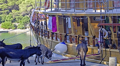 Inselhüpfen mit Velo und Schiff in Kroatien