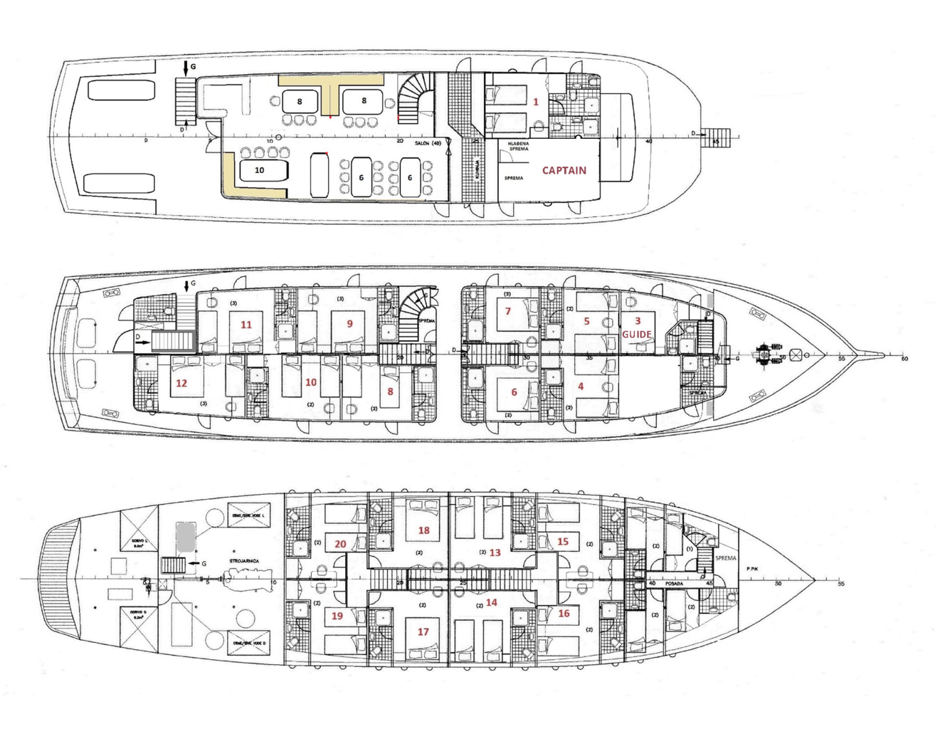 PARADIS DeckPlan